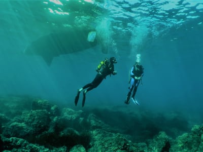 Excursion plongée en voilier depuis Beaulieu-sur-Mer sur la Côte d'Azur