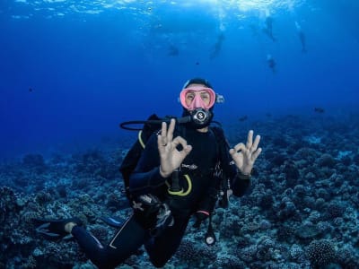 Niveau 1 de plongée sous-marine à Moorea