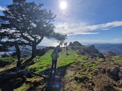 Excursión guiada de senderismo al Parque Regional de Lessinia, cerca del Lago de Garda