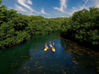 Stand Up Paddle at Anse à la Barque in Sainte-Anne, Guadeloupe