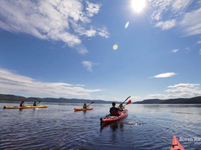 Balade en kayak de mer dans le fjord du Saguenay depuis Cap Jaseux, Saint-Fulgence