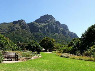 Randonnée aux jardins de Kirstenbosch au Cap