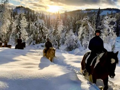 Winter/Spring Horseback Riding Experience in Skammestein near Jotunheimen