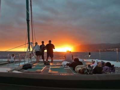 Excursion en catamaran au Cap Girão au coucher du soleil depuis Funchal, Madère