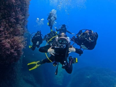 PADI Open Water Diver in der Exiles Bay in Sliema, Malta