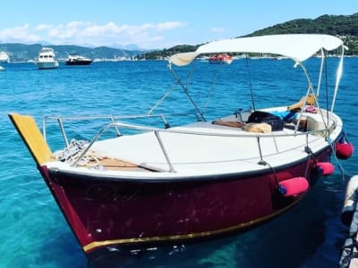 Excursión en barco por Cinque Terre desde La Spezia