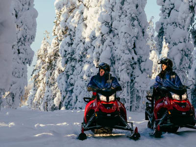 Schneemobilexkursion in den arktischen Wald von Rovaniemi aus