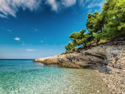 Private Boat tour to Seagull's rocks and Blue Cave snorkeling departing from Fažana near Pula