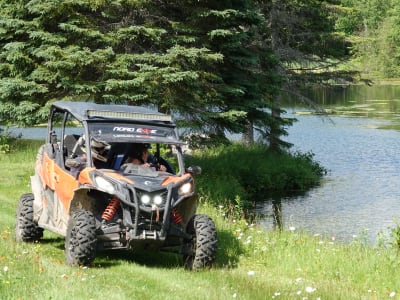 Buggy Discovery Excursion in Charlevoix departing from La Malbaie