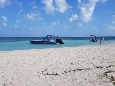 Ausflug nach Marie-Galante von Saint-François, Guadeloupe