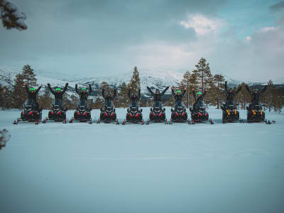 Half-Day Snowmobile Safari in Helgeland from Mosjøen