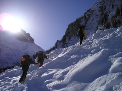 Snowshoeing Excursion on the Peaks of Chamonix-Mont-Blanc