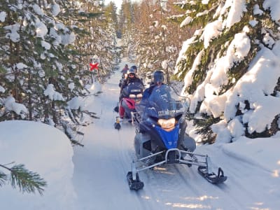 Excursion en motoneige avec déjeuner à Mörön près de Luleå