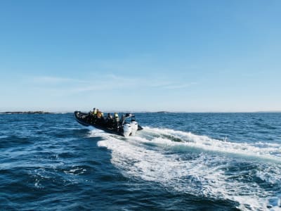 RIB Half-day Tour to Hamneskär Island near Gothenburg