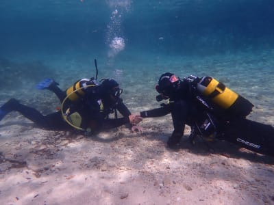 Try Scuba Diving in the Athens Riviera from Athens