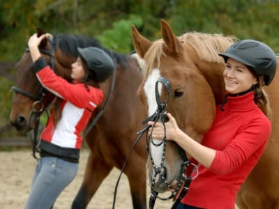 Horseback Riding Tour in Chianti, Siena