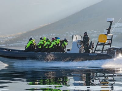 Observation des baleines à Skjervøy depuis Tromsø