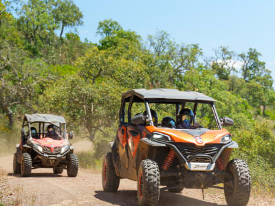 Excursions en buggy à partir de Loule près de Vilamoura