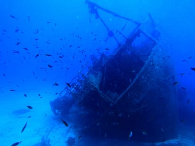 Adventure Dive for Certified Divers in the Athens Riviera from Athens