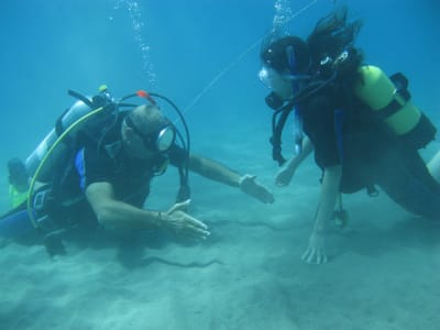 Entdecken Sie das Tauchen am Strand von Mirtos bei Ierapetra