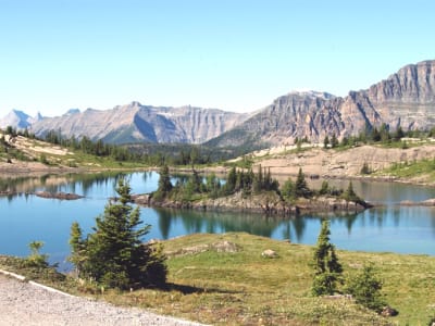 Guided hike at Sunshine Meadows in Banff National Park, near Calgary