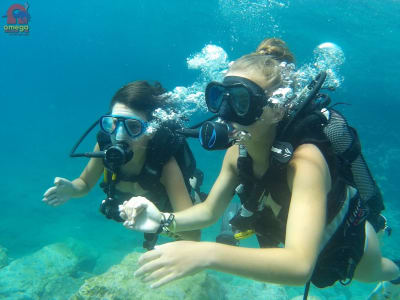 Scuba Diving Exploration in Almyrida, near Chania