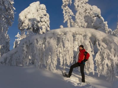 Randonnée en raquettes à neige au cœur des Alpes, Courchevel