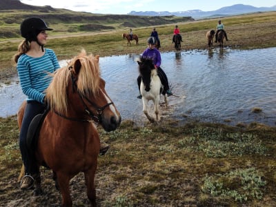 Excursión a caballo a la cascada Reykjafoss desde Varmahlid, Islandia