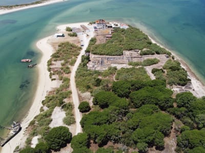 Boat Transfer to Tróia and Roman Ruins from Setúbal, near Lisbon