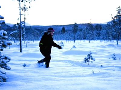 Guided Snowshoeing Excursion to the Målselv Waterfall from Målselv