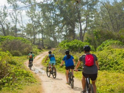 Guided Electric Mountain Bike Ride in the South of Mauritius, near Blue Bay