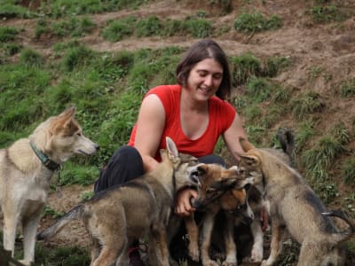 Visita a una perrera de perros de trineo en Oloron-Sainte-Marie, cerca de Pau, Pirineos Atlánticos