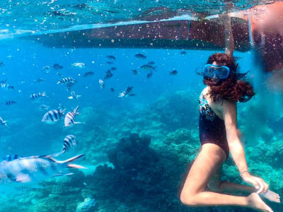 Snorkelling Excursion around Tamarin Bay 