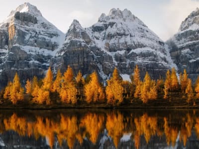 Autumn sightseeing tour of Banff and Yoho National Parks from Banff