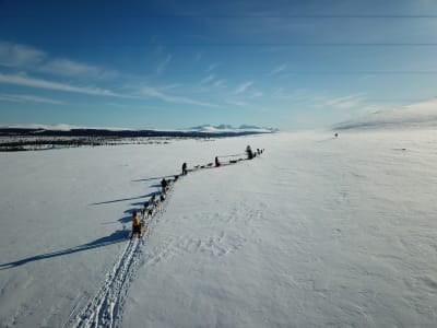 Acampada nocturna con trineo tirado por perros en Tylldalen, cerca de Røros