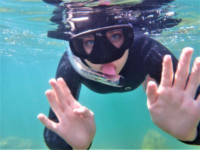 Excursión de Snorkel por la bahía de Soufa desde Almyrida, cerca de Chania