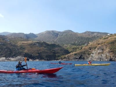 Excursion en kayak à partir d'Apollonas, à Naxos