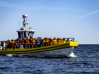 Excursión en Zodiac para avistar ballenas en Tadoussac, Quebec