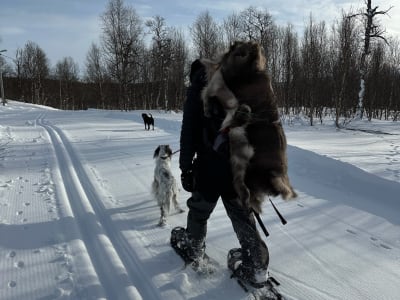 Snowshoeing Excursion from Klimpfjäll
