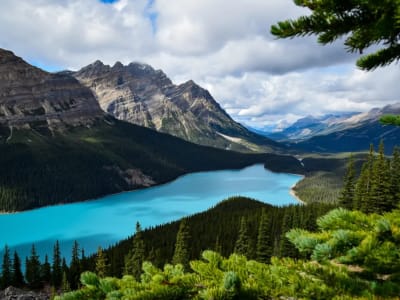 Visite guidée des glaciers le long de la promenade des Glaciers au départ de Banff