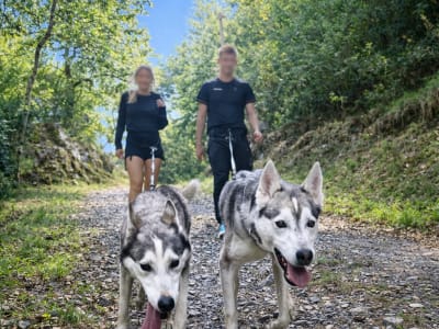 Hiking with Sled Dogs at Avajan, near Loudenvielle in the Pyrenees