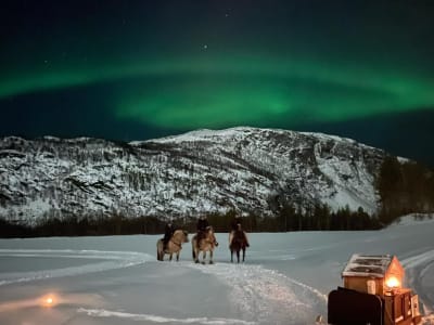Excursion nocturne à cheval depuis Alta