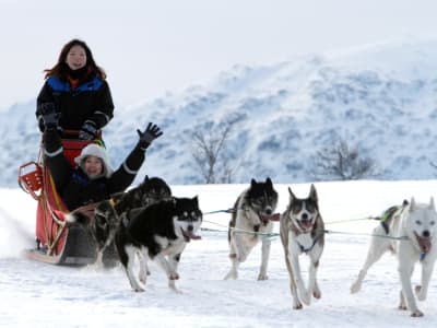 Selbstfahrer-Hundeschlittenfahrt in Kvaløya von Tromsø aus