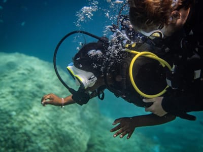 Descubra el submarinismo en la laguna de Mayotte