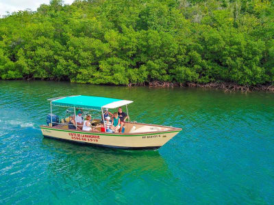 Paseo en barco por Les Trois-Îlets para descubrir los manglares de la bahía de Génipa, Martinica