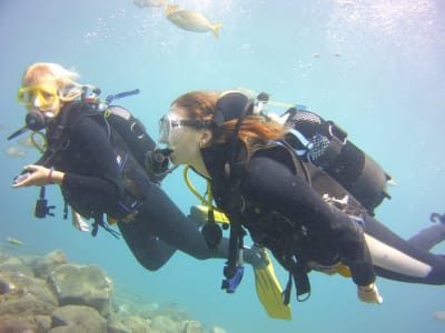 First Scuba Dive in Playa de las Américas near Costa Adeje, Tenerife