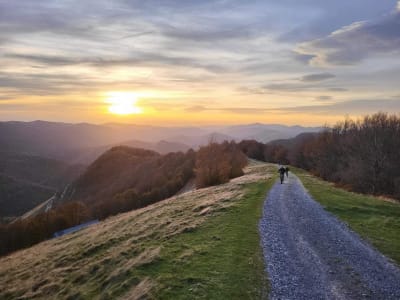 Balade en trottinette électrique à Iraty, Pays Basque