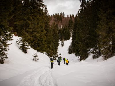 Curso de supervivencia al frío en la región de Haut-Jura