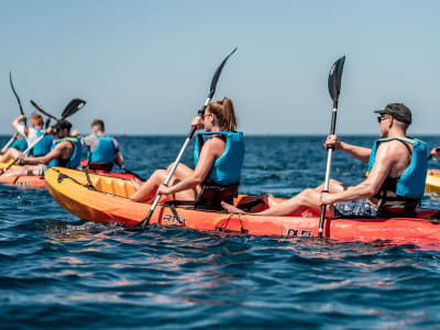 Excursion guidée en kayak et plongée en apnée avec des tortues et des dauphins à partir de Playa de Los Cristianos, Tenerife