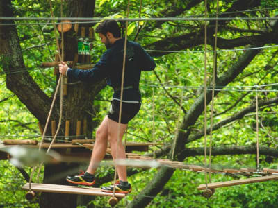 Excursión por las copas de los árboles en Accrocamp Jablines, cerca de París